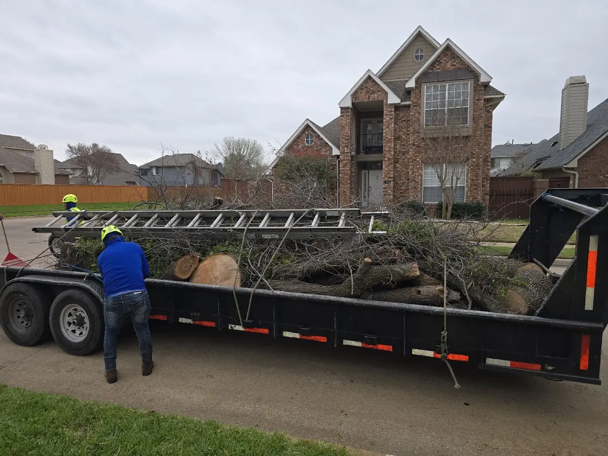 Expert Crown Reduction with proper safety equipment in North Royalton